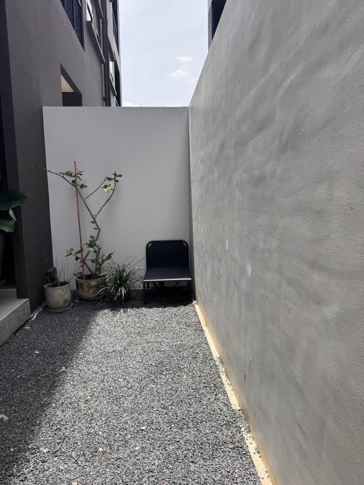 ขายทาวน์โฮมเลียบทางด่วนรามอินทรา : ⚡️𝐇𝐎𝐓 𝐃𝐄𝐀𝐋 ⚡️ขาย Noble Curve เอกมัย รามอินทรา Town home 4 ชั้น พร้อมอยู่ ขนาด 240 Sq.m 3 ห้องนอน 3 ห้องน้ำ เพียง 16.9 MB เท่านั้น !! ติดต่อ 086-795-9997 