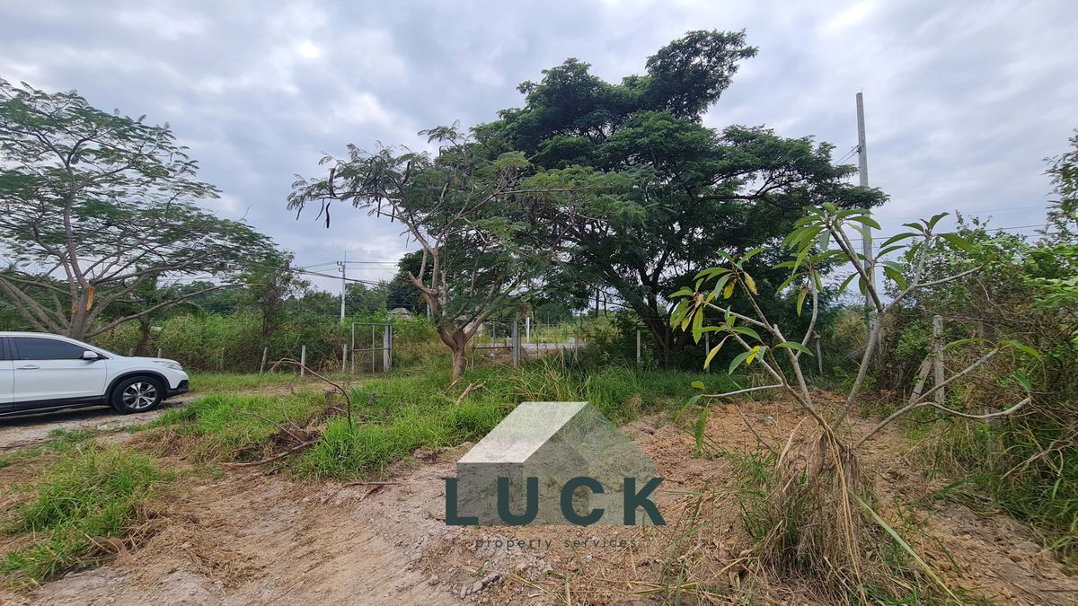 ขายที่ดินหัวหิน ประจวบคีรีขันธ์ : LUCK 🏠ขายที่ดิน 7 ไร่ หัวหิน พร้อมบ้านสวนชั้นเดียว 1 หลัง ที่ติดถนนสาธารณะประโยชน์ ราคาดี!!!
