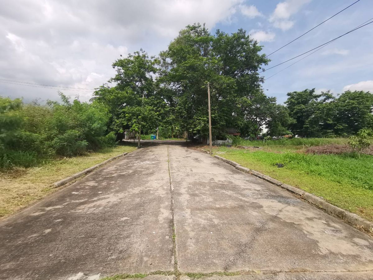 ขายที่ดินปทุมธานี รังสิต ธรรมศาสตร์ : ขายที่ดิน แปลงสวย หลังติดน้ำ ขนาด 144 ตรว. มี 2 แปลงติดกัน หมู่บ้านเมืองเอก ม.รังสิต โครงการ 3 ซอยเอกรัตน์ 11 ราคาดีที่สุดในโครงการ ขายเพียง 3.2 ล้านต่อแปลงเท่านั้น (22,222 บาทต่อตรว.) ขายต่ำกว่าราคาประเมินเยอะมากๆ ราคาประเมินราชการ 28,000 บาท/ตรว. 22,222