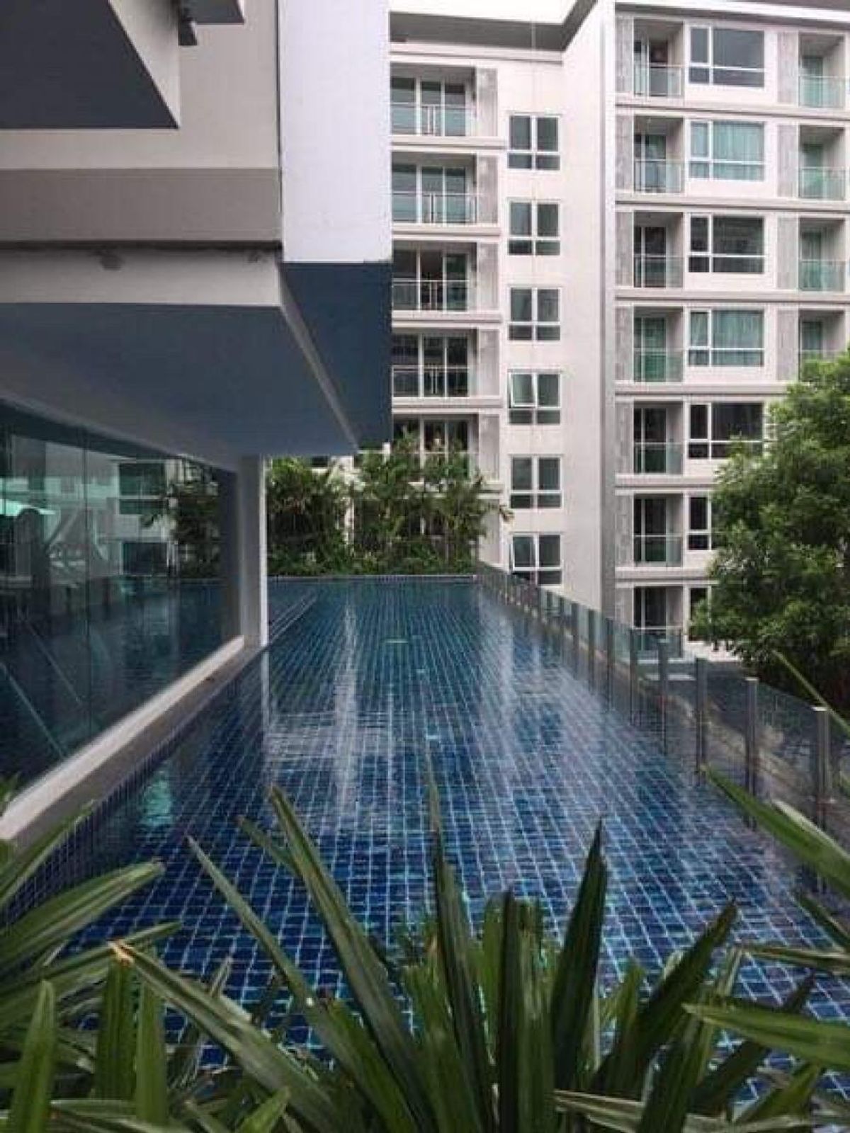 For SaleCondoOnnut, Udomsuk : Mayfair Place Sukhumvit 64 / Studio (Sale with Tenant), May Fair Place Sukhumvit 64 / Studio (Sale with Tang201