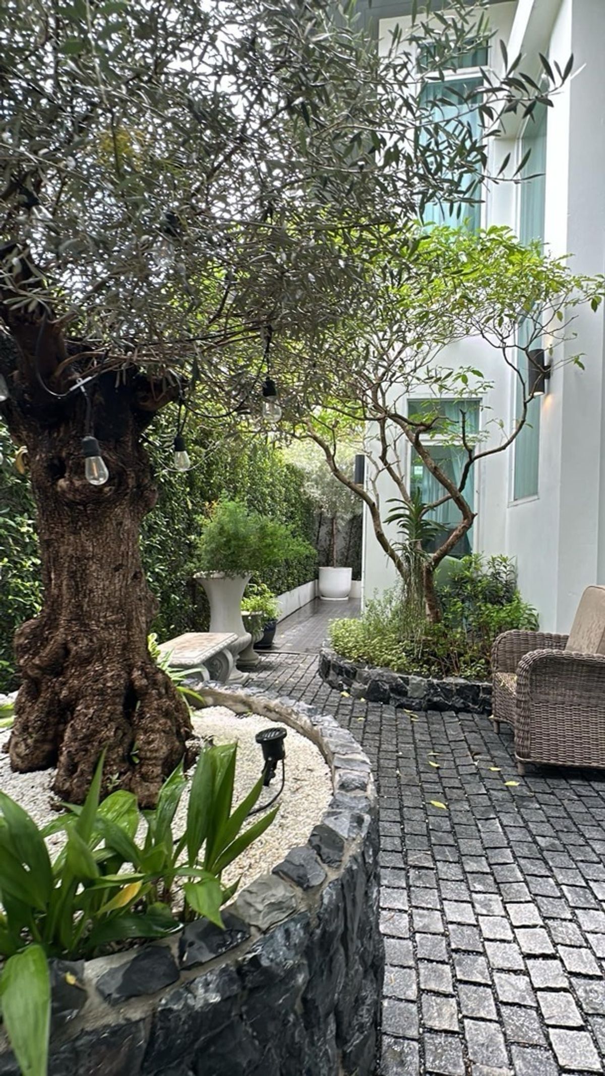 For RentHouseSukhumvit, Asoke, Thonglor : 📢👇 Single House – Newly Renovated .Convenient access via multiple routes, located in the Em District area. The layout allows for a swimming pool to be added.