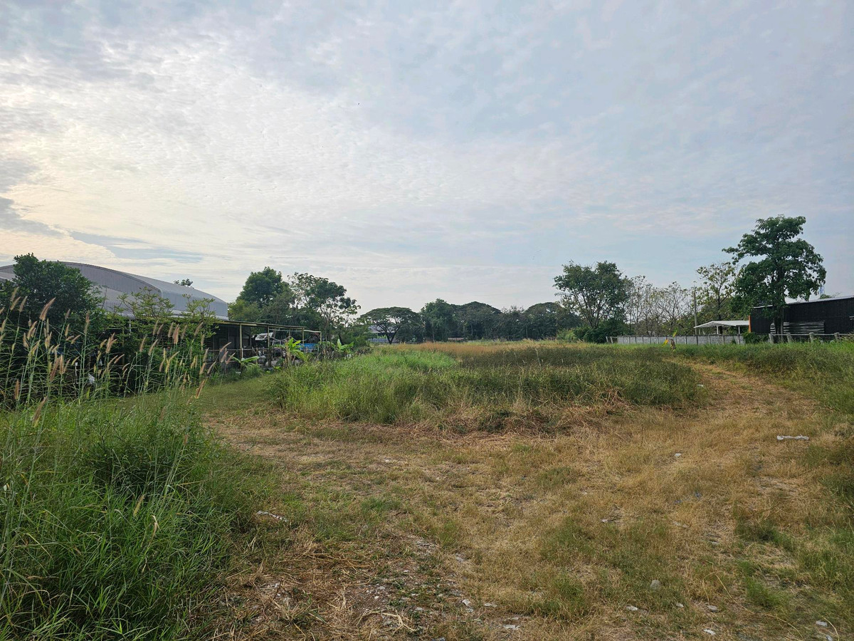 ขายที่ดินปทุมธานี รังสิต ธรรมศาสตร์ : ขายที่ดินติดถนนหมายเลข 3312 (ถนนลำลูกกาฝั่งขาเข้ากรุงเทพฯ) ถมแล้วเต็มพื้นที่ มีรั้วปูน และประตูปิด-เปิด 