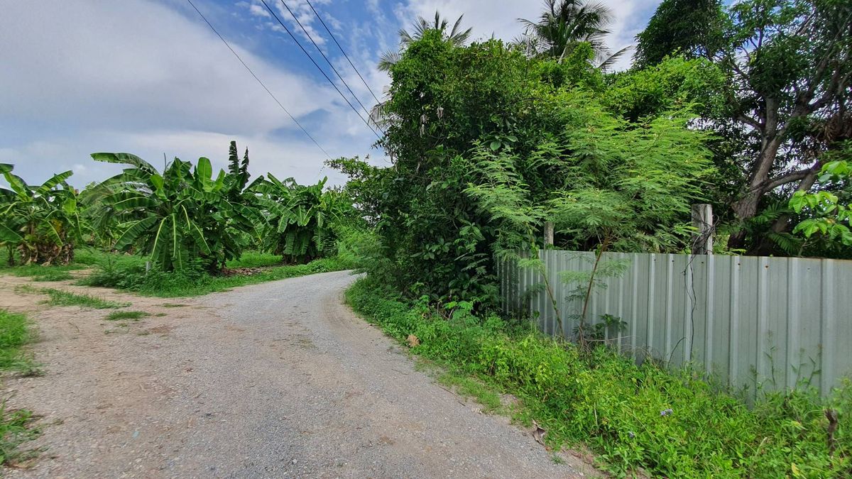 For SaleLandBang kae, Phetkasem : Urgent price, 6 rai of land than Nong Khaem, Soi Chaiyo, Bang Bon 3 Road. Very cheap.