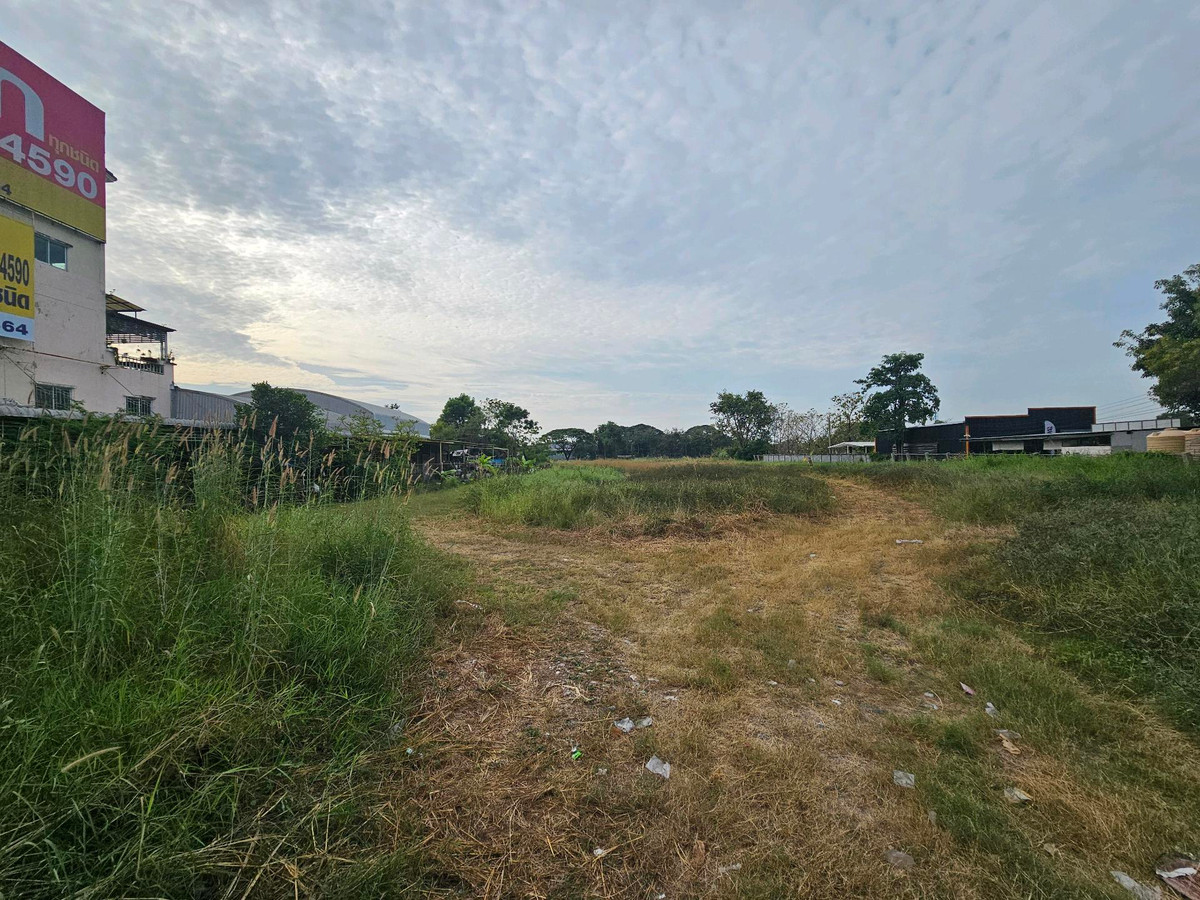 ขายที่ดินปทุมธานี รังสิต ธรรมศาสตร์ : ขายที่ดินติดถนนหมายเลข 3312 (ถนนลำลูกกาฝั่งขาเข้ากรุงเทพฯ) ถมแล้วเต็มพื้นที่ มีรั้วปูนอย่างดี