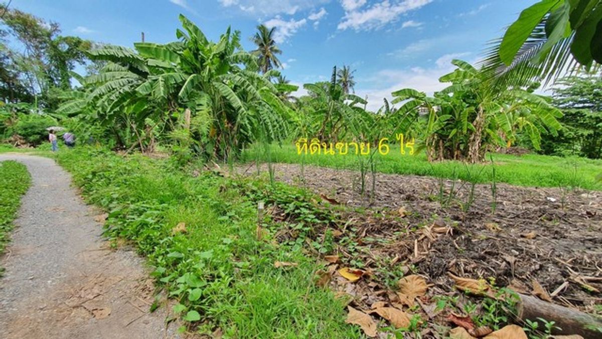 For SaleLandBang kae, Phetkasem : Urgent price, 6 rai of land than Nong Khaem, Soi Chaiyo, Bang Bon 3 Road. Very cheap.