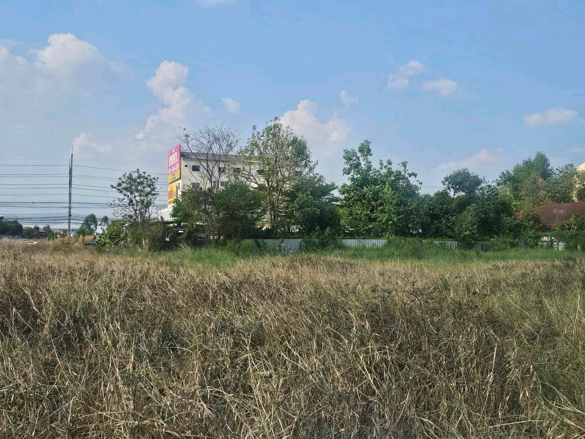 ขายที่ดินปทุมธานี รังสิต ธรรมศาสตร์ : ขายที่ดินติดถนนหมายเลข 3312 (ถนนลำลูกกาฝั่งขาเข้ากรุงเทพฯ) ถมแล้วเต็มพื้นที่ มีรั้วปูน และประตูปิด-เปิด 