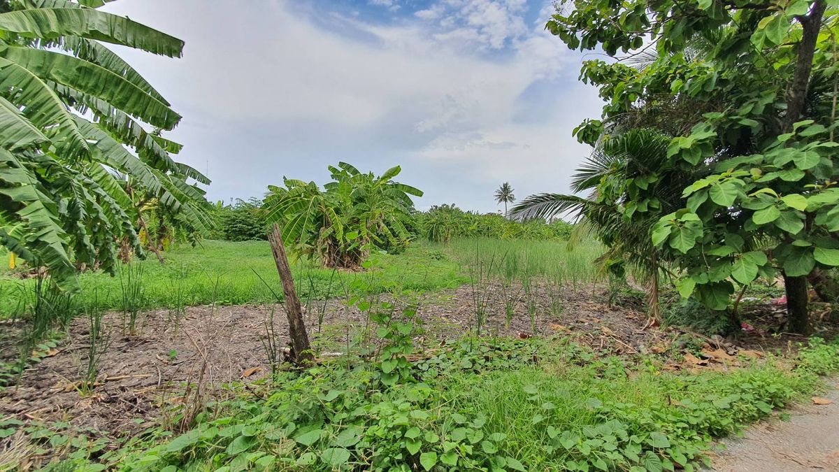 For SaleLandBang kae, Phetkasem : Urgent price, 6 rai of land than Nong Khaem, Soi Chaiyo, Bang Bon 3 Road. Very cheap.