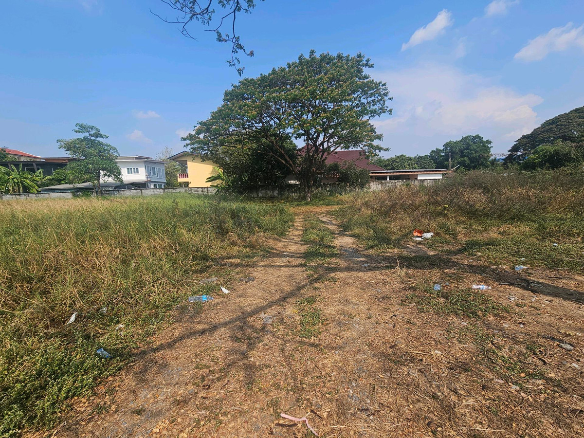 ขายที่ดินปทุมธานี รังสิต ธรรมศาสตร์ : ขายที่ดินติดถนนหมายเลข 3312 (ถนนลำลูกกาฝั่งขาเข้ากรุงเทพฯ) ถมแล้วเต็มพื้นที่ มีรั้วปูน และประตูปิด-เปิด 