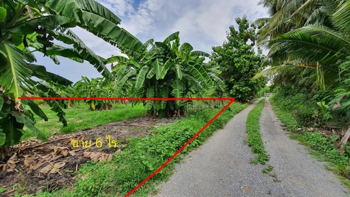 For SaleLandBang kae, Phetkasem : Urgent price, 6 rai of land than Nong Khaem, Soi Chaiyo, Bang Bon 3 Road. Very cheap.