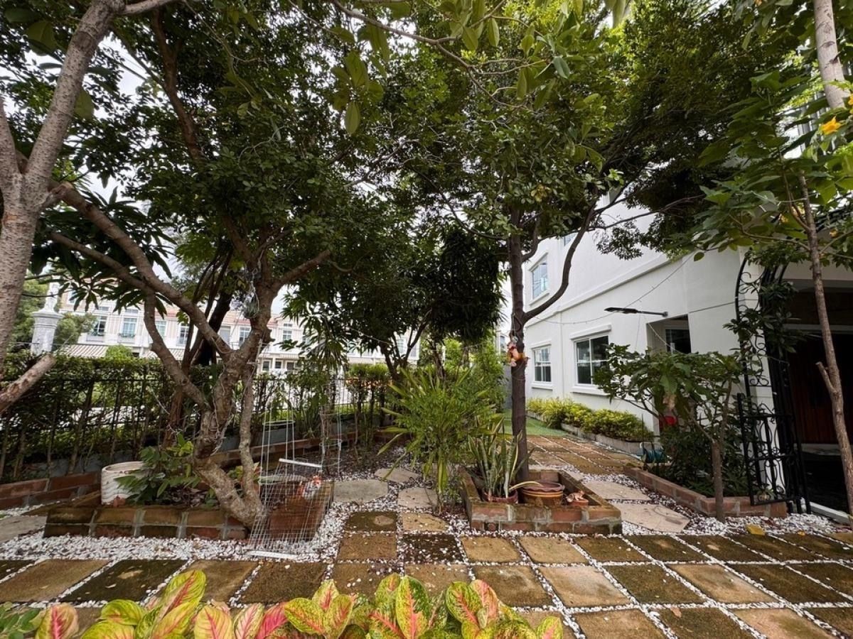 ให้เช่าทาวน์โฮมบางนา แบริ่ง ลาซาล : 💥ForRent💥3Bed • Indy Bangna-Ramkhamhang 2 🏡 Near Mega Bangna ✨ Duplex ‼️Corner House with Private Garden 🌳 Ready to move in ‼️