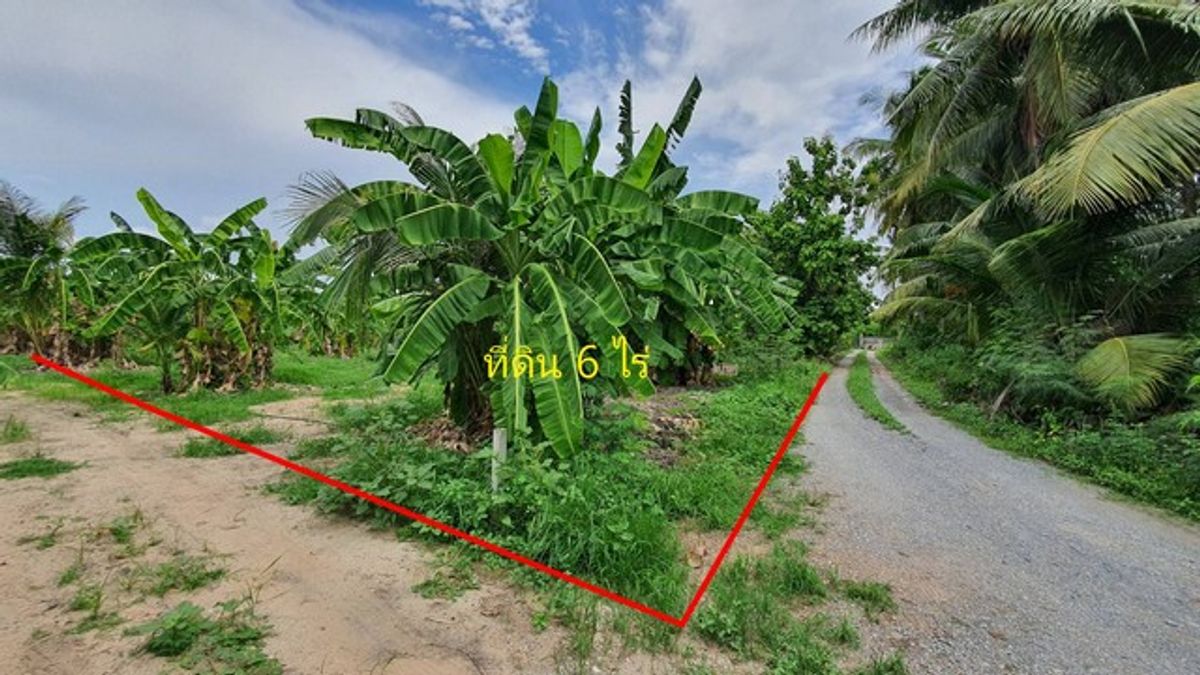 For SaleLandBang kae, Phetkasem : Urgent price, 6 rai of land than Nong Khaem, Soi Chaiyo, Bang Bon 3 Road. Very cheap.