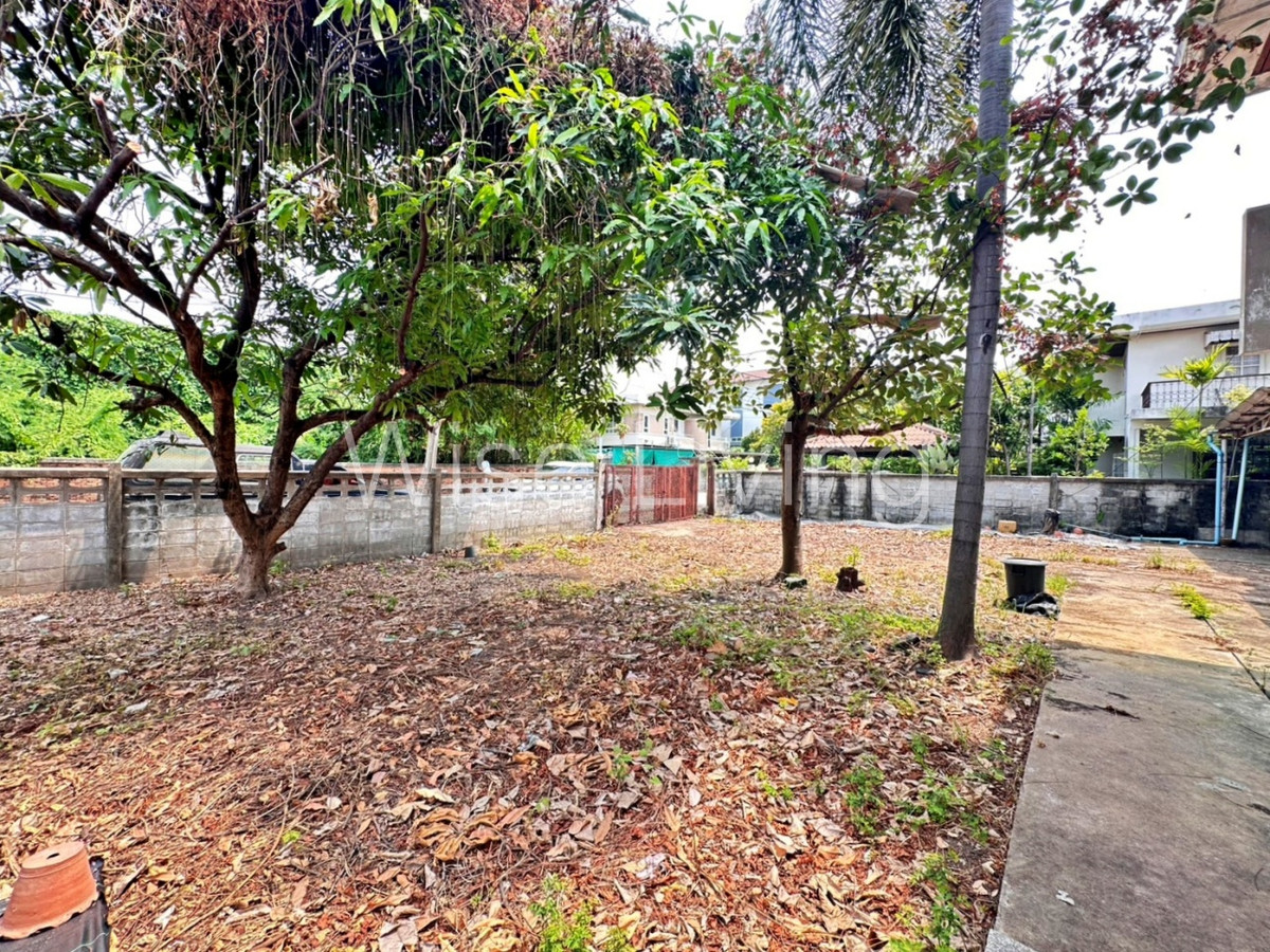 ขายที่ดินโชคชัย4 ลาดพร้าว71 : ขายถูกสุดๆ เพียง ตรว ละ 90,000 ที่ดินครึ่งไร่ ลาดพร้าว 47  ใกล้รถไฟฟ้าโชคชัย 4