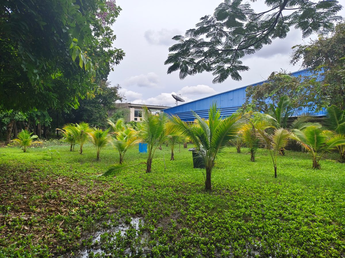 For SaleLandKasetsart, Ratchayothin : 2-rai vacant land for sale behind Major Ratchayothin, Soi Phahon Yothin 35. Multiple access points. Beautiful plot.