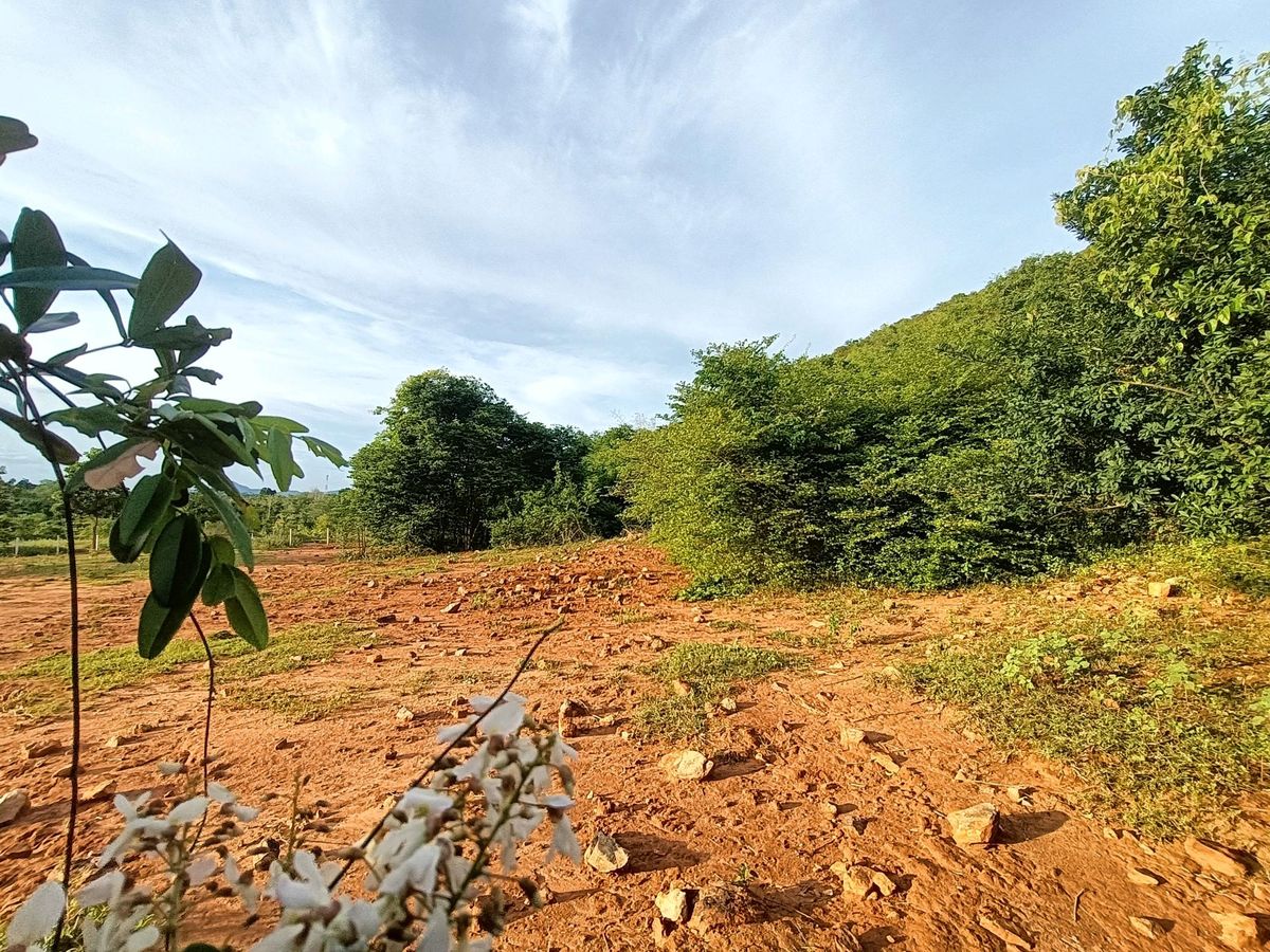 ขายที่ดินหัวหิน ประจวบคีรีขันธ์ : ขายที่ดินโฉนดครุฑแดง บนเขาจุดชมวิวเขานาห้วย