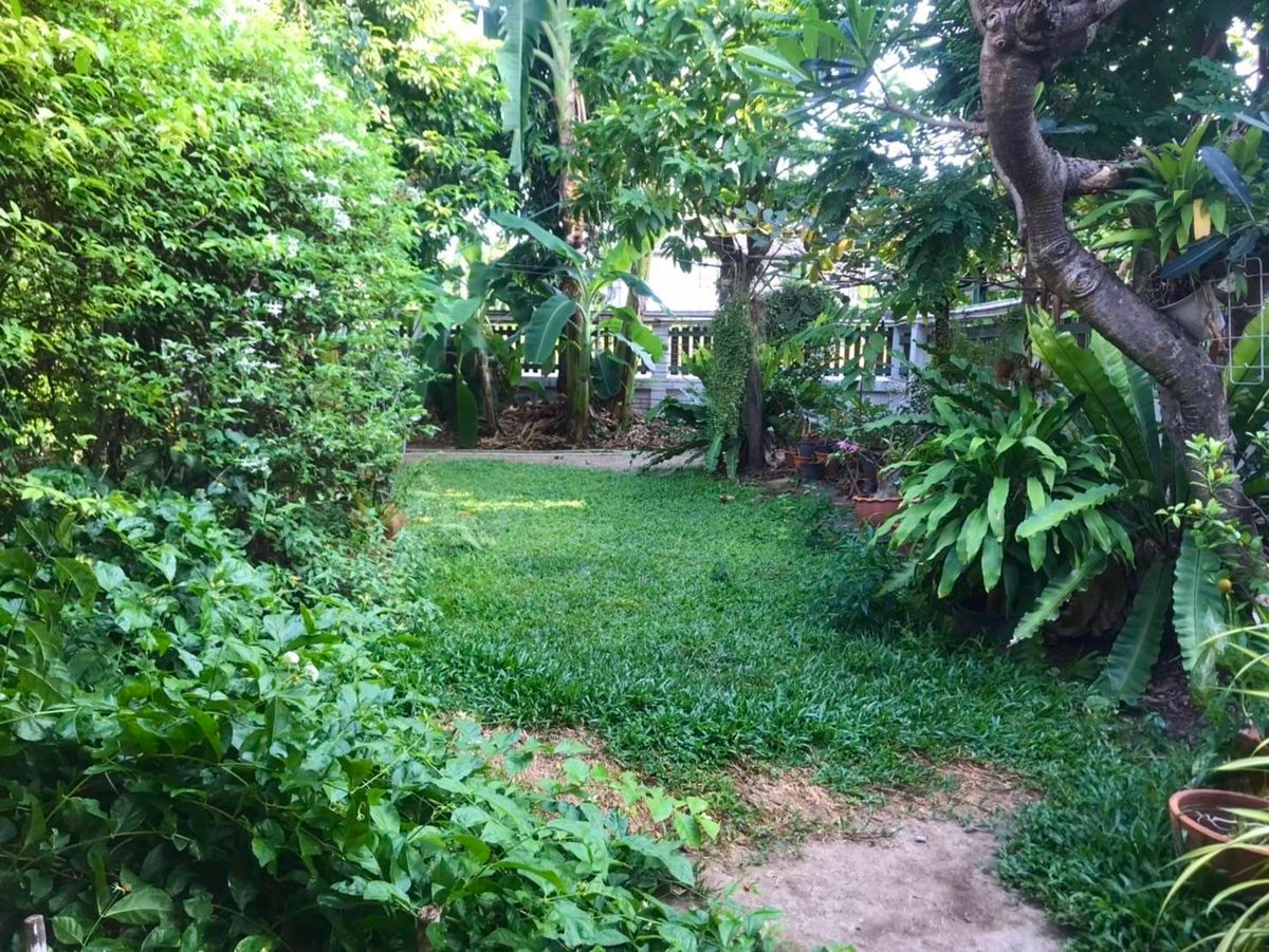 ขายบ้านพัฒนาการ ศรีนครินทร์ : ขายบ้านเดี่ยว 2 ชั้น ทำเลศักยภาพ – Seri Rama 9 Soi 58 Yaek 8 บ้านเดี่ยว 2 ชั้น พื้นที่กว้างขวาง พร้อมเรือนรับรองในพื้นที่เดียวกัน เหมาะสำหรับครอบครัวใหญ่หรือผู้ที่ต้องการพื้นที่ใช้สอยครบครัน