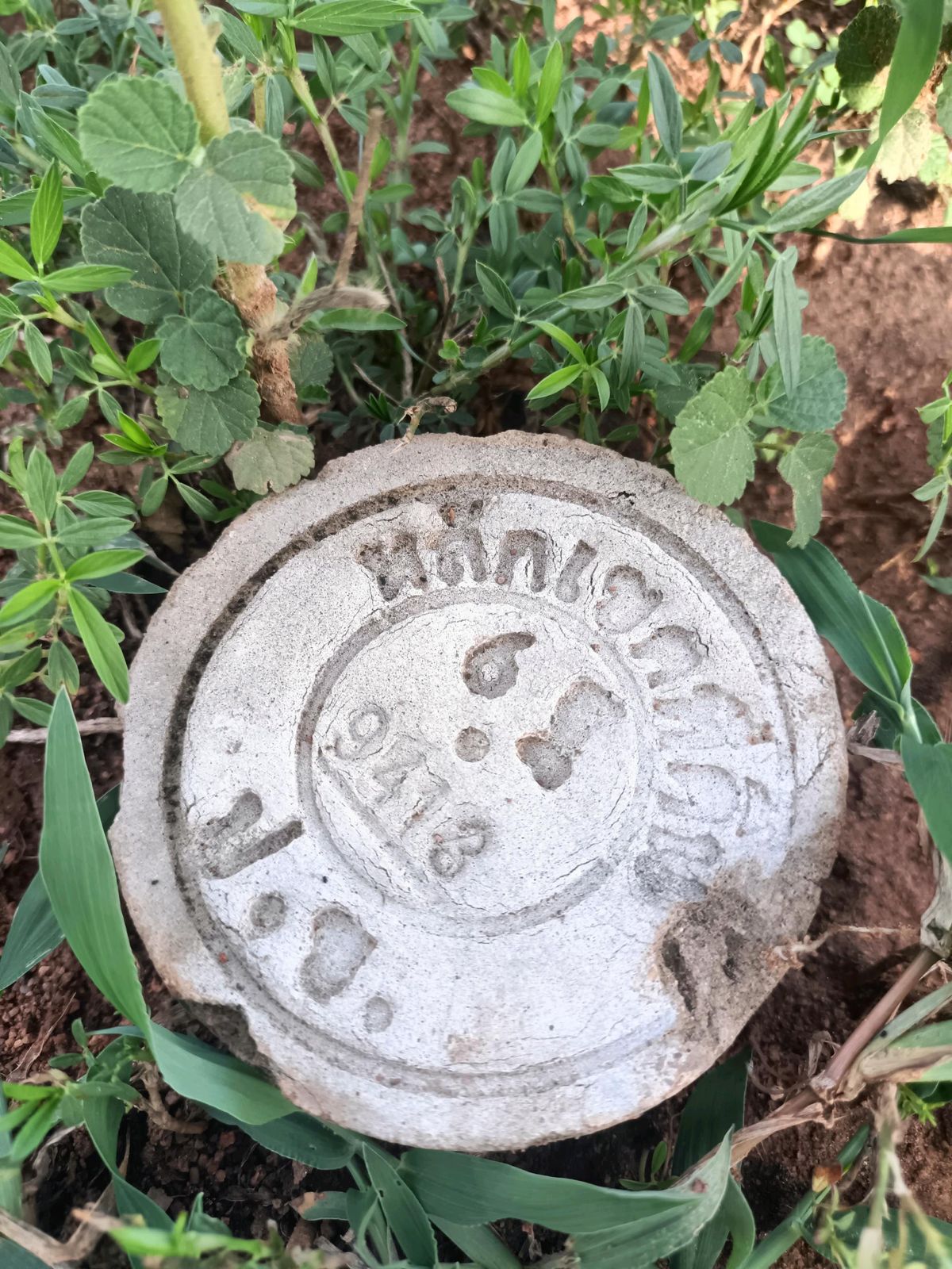 ขายที่ดินหัวหิน ประจวบคีรีขันธ์ : ขายที่ดินโฉนดครุฑแดง บนเขาจุดชมวิวเขานาห้วย