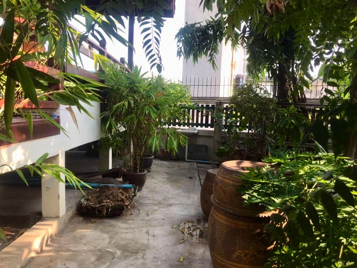 ขายบ้านพัฒนาการ ศรีนครินทร์ : ขายบ้านเดี่ยว 2 ชั้น ทำเลศักยภาพ – Seri Rama 9 Soi 58 Yaek 8 บ้านเดี่ยว 2 ชั้น พื้นที่กว้างขวาง พร้อมเรือนรับรองในพื้นที่เดียวกัน เหมาะสำหรับครอบครัวใหญ่หรือผู้ที่ต้องการพื้นที่ใช้สอยครบครัน