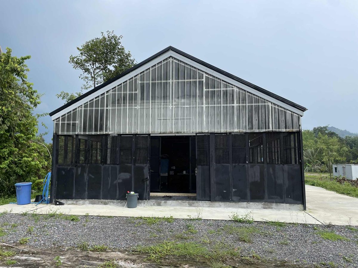 ขายบ้านสระบุรี : ขายบ้านพักตากอากาศพร้อมที่ดิน  1 ไร่ 2 งาน   ต.ชะอม  อ.แก่งคอย  สระบุรี