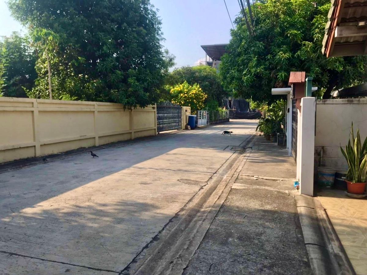 ขายบ้านพัฒนาการ ศรีนครินทร์ : ขายบ้านเดี่ยว 2 ชั้น ทำเลศักยภาพ – Seri Rama 9 Soi 58 Yaek 8 บ้านเดี่ยว 2 ชั้น พื้นที่กว้างขวาง พร้อมเรือนรับรองในพื้นที่เดียวกัน เหมาะสำหรับครอบครัวใหญ่หรือผู้ที่ต้องการพื้นที่ใช้สอยครบครัน