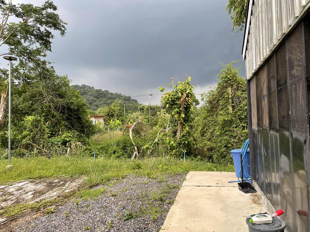 ขายบ้านสระบุรี : ขายบ้านพักตากอากาศพร้อมที่ดิน  1 ไร่ 2 งาน   ต.ชะอม  อ.แก่งคอย  สระบุรี