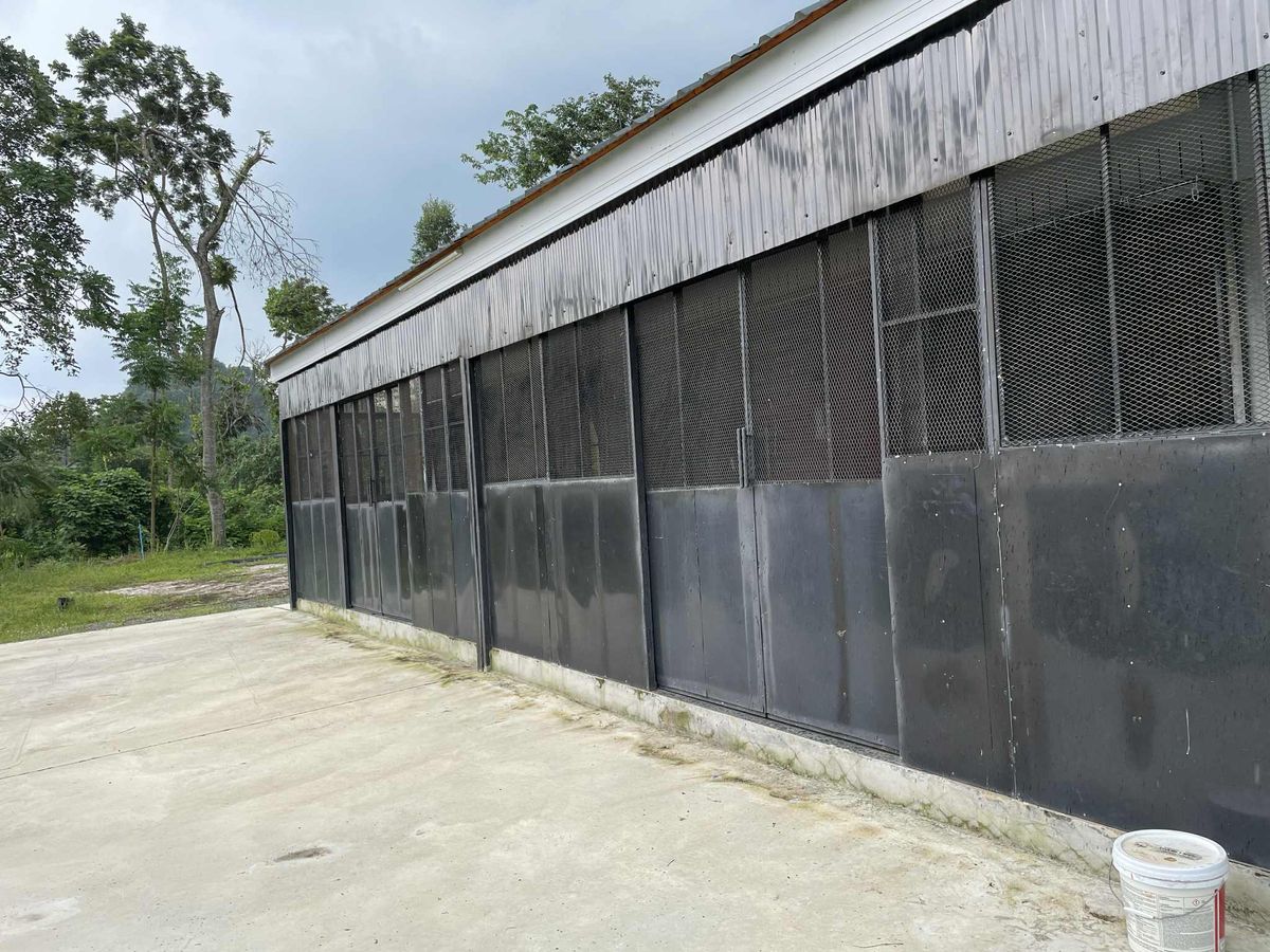 ขายบ้านสระบุรี : ขายบ้านพักตากอากาศพร้อมที่ดิน  1 ไร่ 2 งาน   ต.ชะอม  อ.แก่งคอย  สระบุรี