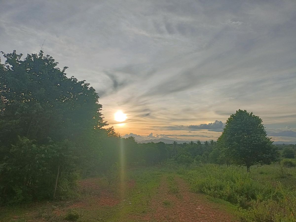 For SaleLandHuahin, Prachuap Khiri Khan, Pran Buri : Land for sale in the red deed On the hill, Khao Na Huai Viewpoint