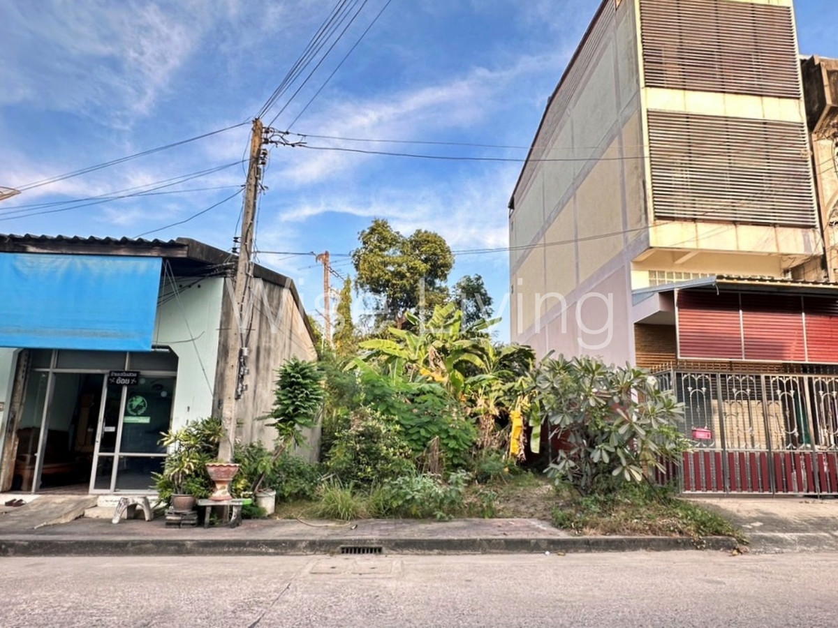 ขายที่ดินนครปฐม : ขายที่ดิน อำเภอเมืองนครปฐม ใกล้เซ็นทรัลนครปฐม และ ถ.เพชรเกษม  