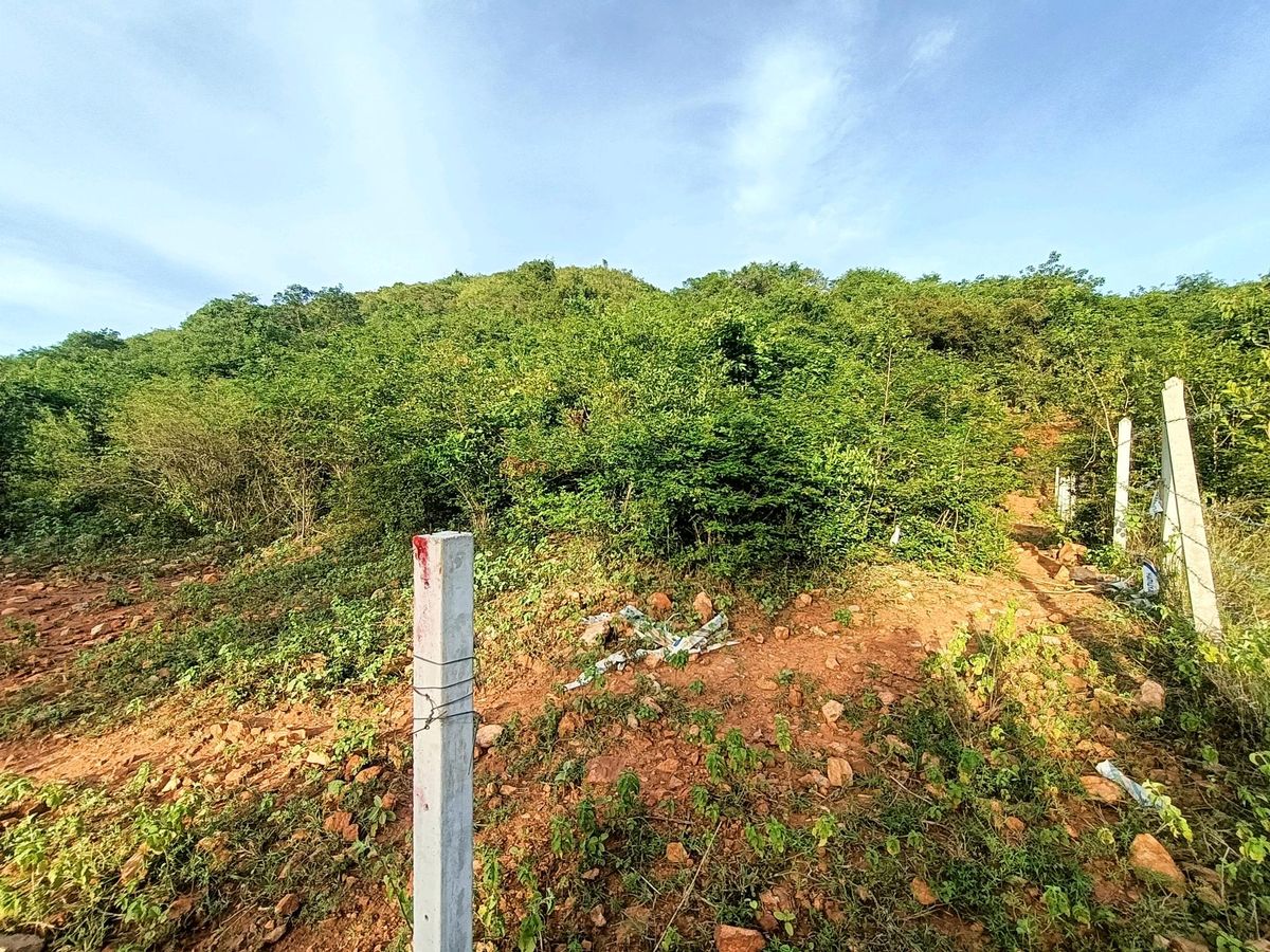 ขายที่ดินหัวหิน ประจวบคีรีขันธ์ : ขายที่ดินโฉนดครุฑแดง บนเขาจุดชมวิวเขานาห้วย