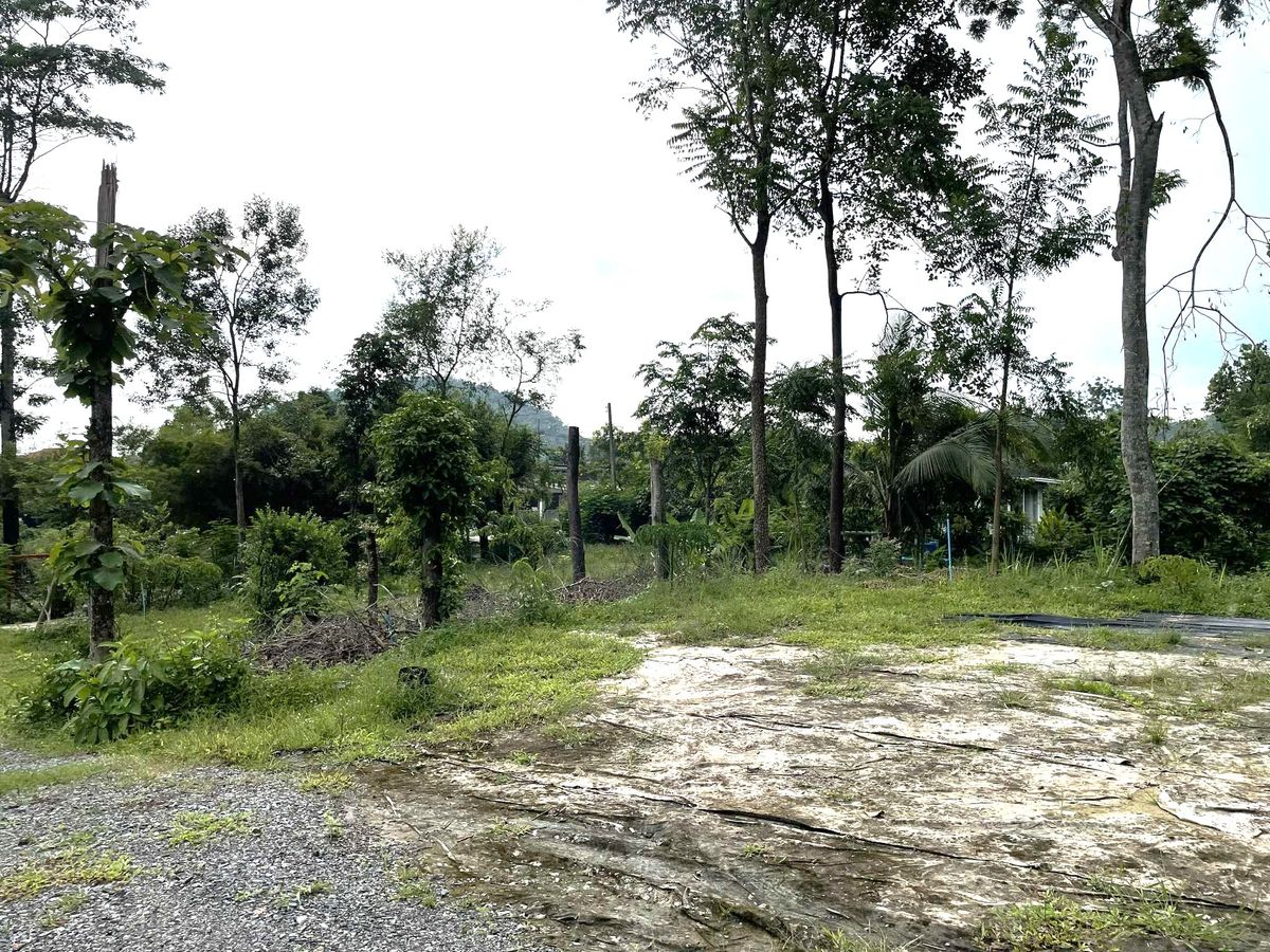 ขายบ้านสระบุรี : ขายบ้านพักตากอากาศพร้อมที่ดิน  1 ไร่ 2 งาน   ต.ชะอม  อ.แก่งคอย  สระบุรี