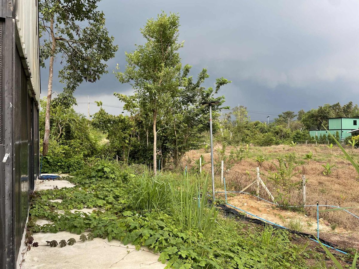 ขายบ้านสระบุรี : ขายบ้านพักตากอากาศพร้อมที่ดิน  1 ไร่ 2 งาน   ต.ชะอม  อ.แก่งคอย  สระบุรี