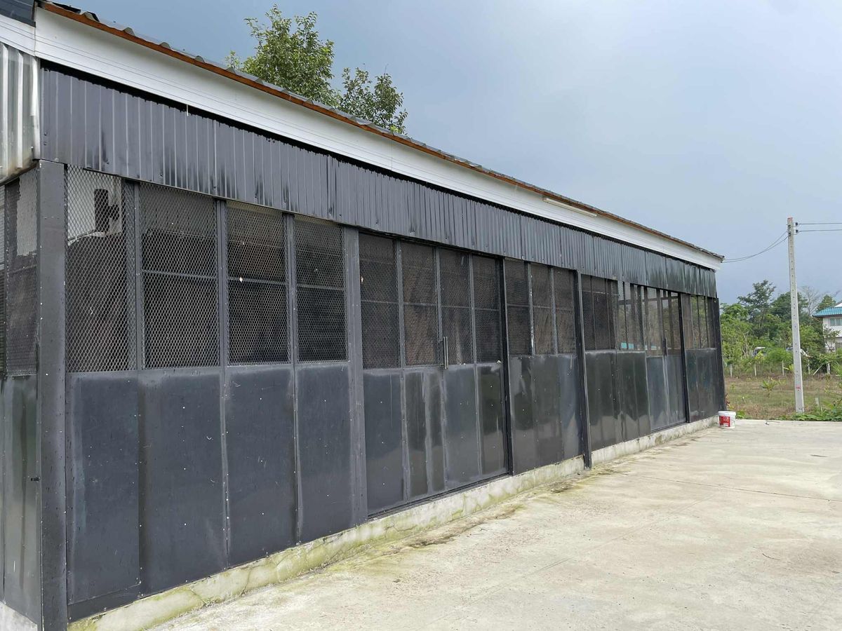 ขายบ้านสระบุรี : ขายบ้านพักตากอากาศพร้อมที่ดิน  1 ไร่ 2 งาน   ต.ชะอม  อ.แก่งคอย  สระบุรี