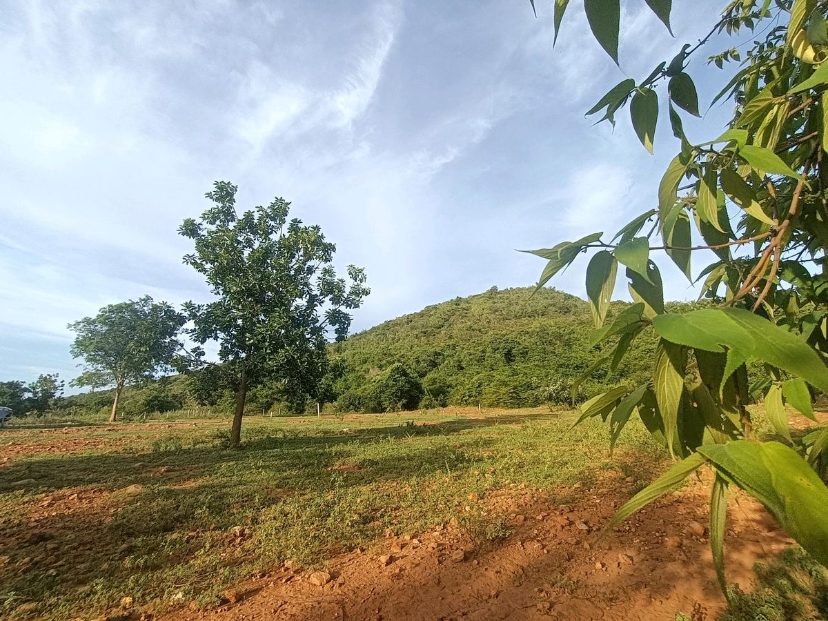 ขายที่ดินหัวหิน ประจวบคีรีขันธ์ : ขายที่ดินโฉนดครุฑแดง บนเขาจุดชมวิวเขานาห้วย