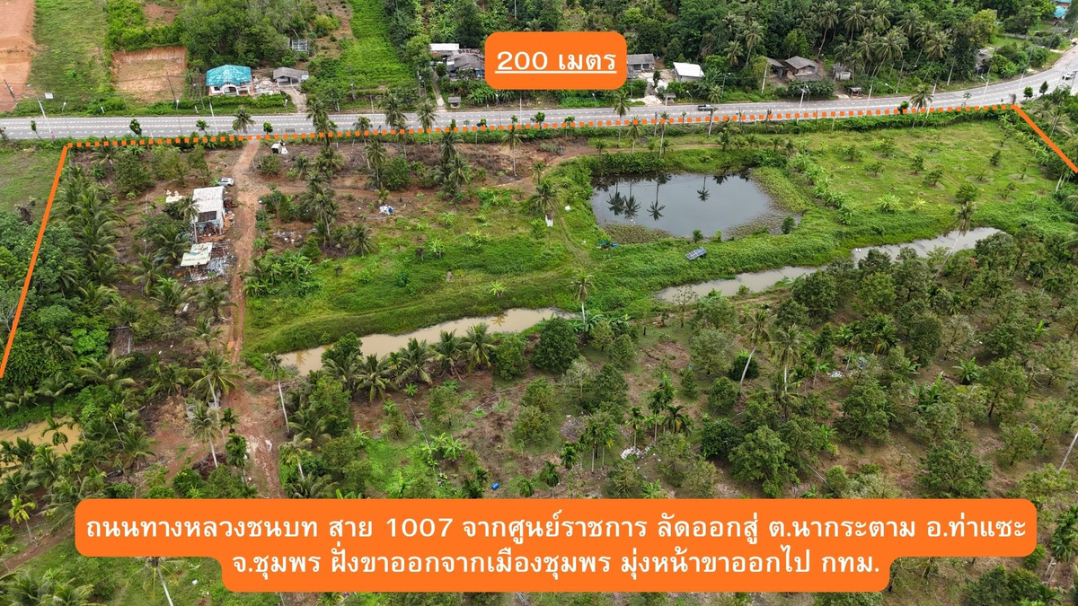 For SaleLandChumphon : Land for sale in Chumphon Next to Petchkasem Road 28-1-73.1 Rai