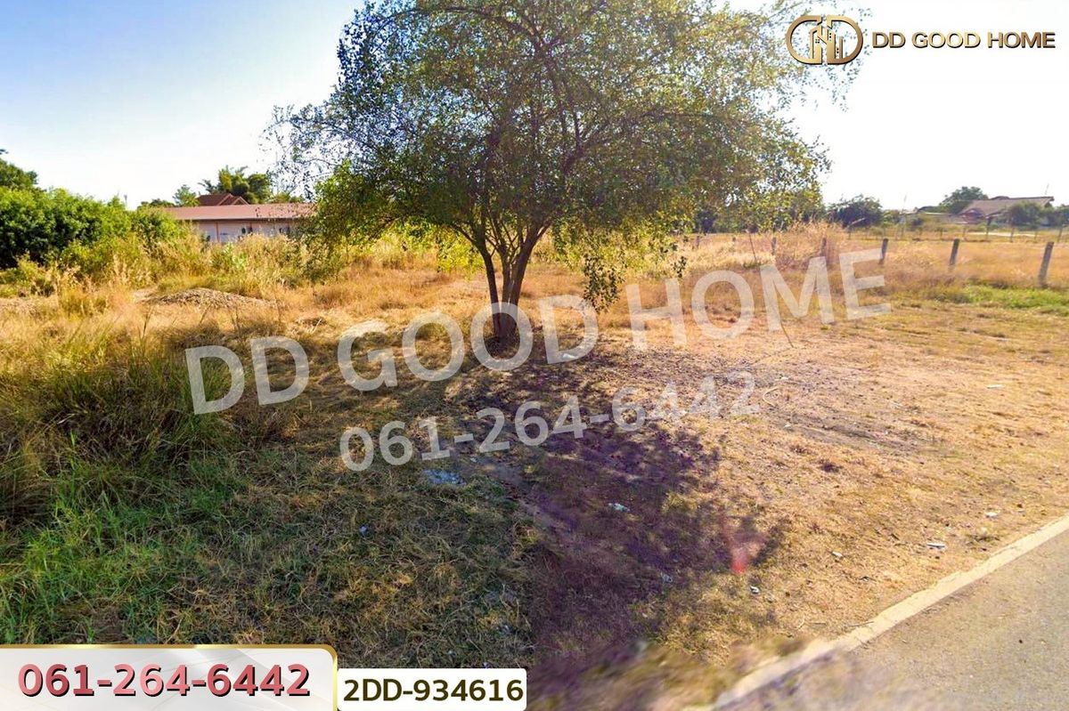 ขายที่ดินยโสธร : 2DD-934616 ที่ดินเลิงนกทา 318.3 ตร.ว. ยโสธร ใกล้สถานีขนส่งผู้โดยสารเทศบาลตำบลสามแยก