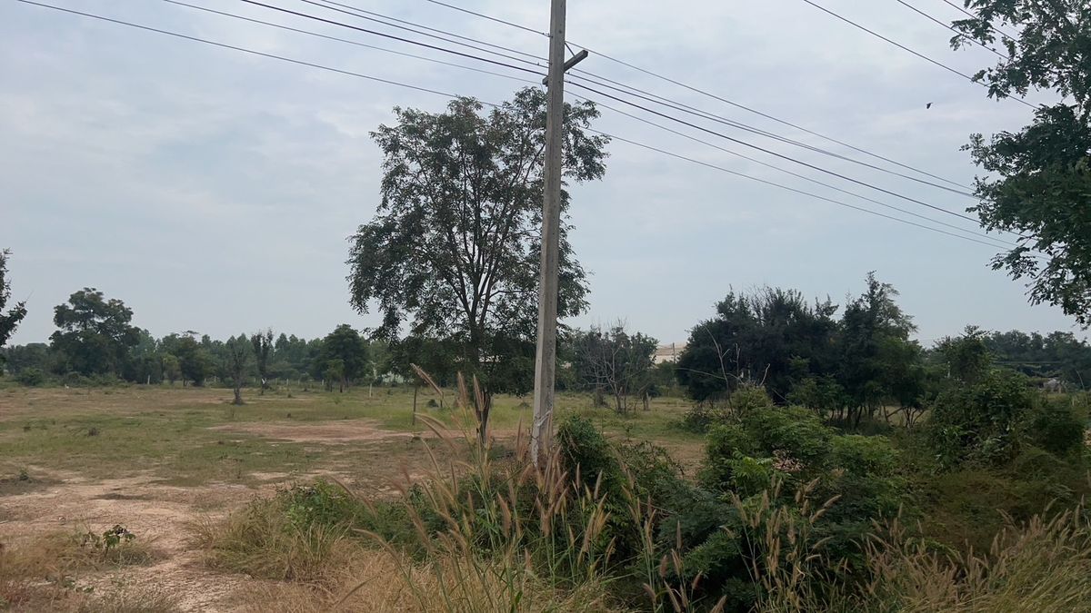 ขายที่ดินสุพรรณบุรี : ที่ดินแปลงสวย 5 ไร่เศษ บนทำเลทอง ใกล้ปั๊ม PT ทะเลบก จ.สุพรรณบุรี