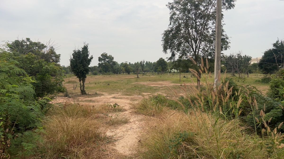 ขายที่ดินสุพรรณบุรี : ที่ดินแปลงสวย 5 ไร่เศษ บนทำเลทอง ใกล้ปั๊ม PT ทะเลบก จ.สุพรรณบุรี