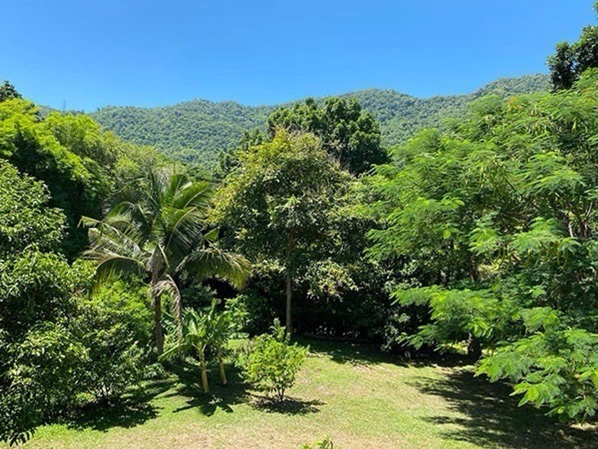 ขายบ้านปากช่อง เขาใหญ่ : 📢👇 บ้าน 2 หลัง ที่กว้างใหญ่ ไม้ร่มรื่น ไว้พักกาย พักใจ พักปอด ไม่ไกลกรุงเทพ แค่กลางดง ปากช่อง ใกล้แหล่งชุมชน และ แหล่งท่องเที่ยว