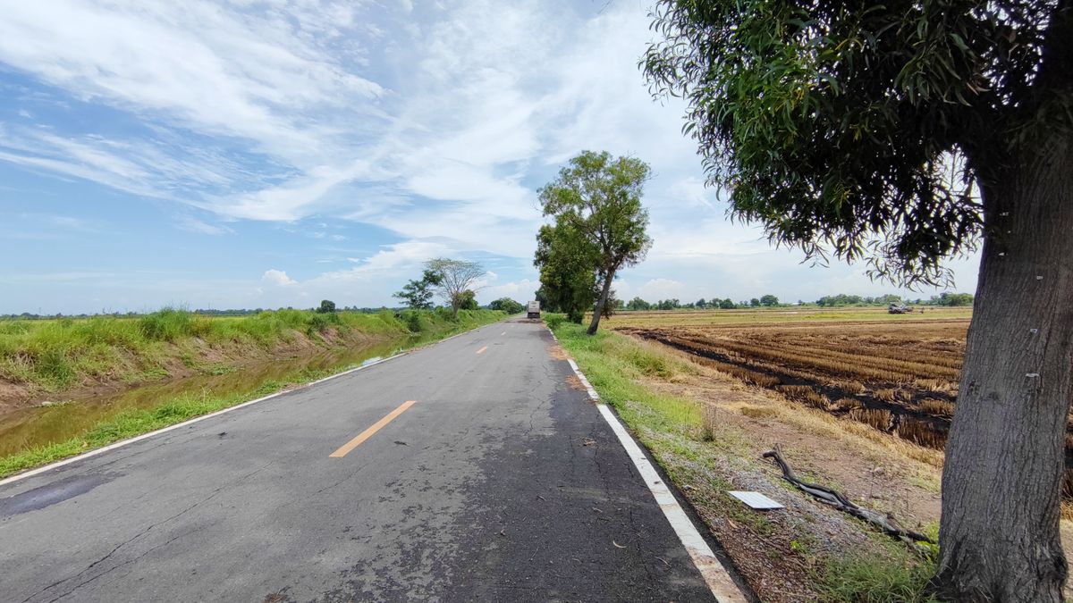 ขายที่ดินปทุมธานี รังสิต ธรรมศาสตร์ : ขาย ที่ดินเปล่า 10 ไร่ คลอง 5 ฝั่งตะวันออก อ. คลองหลวง ปทุมธานี หน้ากว้าง ติดถนนคอนกรีต