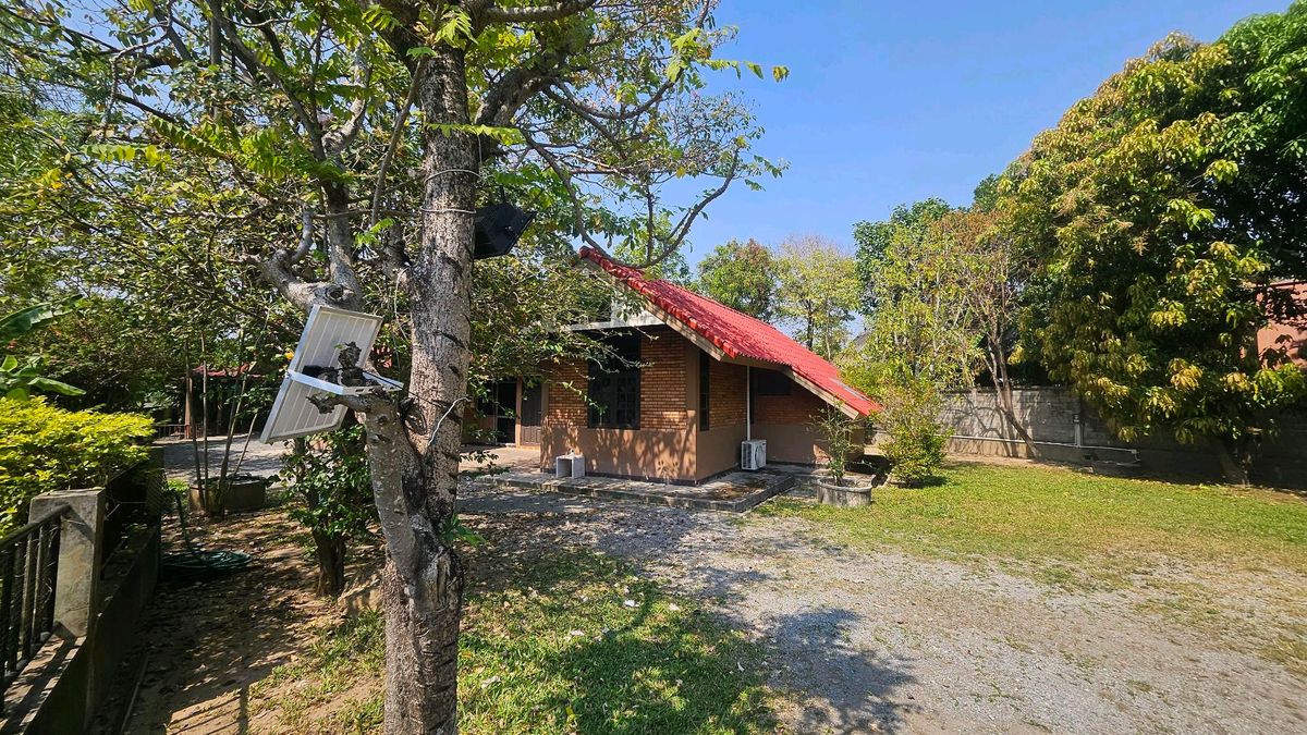ขายบ้านเชียงใหม่ : 🏡ขายบ้านสวนใกล้เซ็นเฟส รวมโชค กาดสามแยกอ.สันทราย เข้าเมืองไม่เกิน 15 นาที