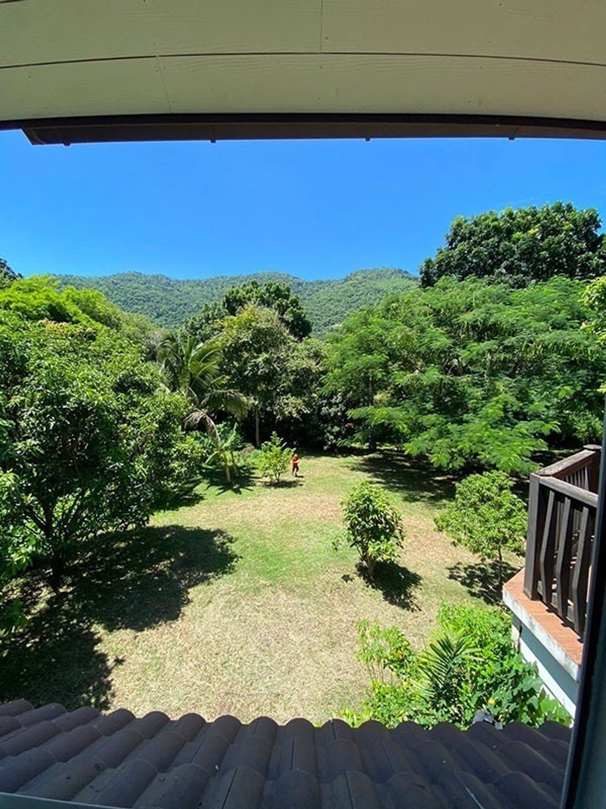 ขายบ้านปากช่อง เขาใหญ่ : 📢👇 บ้าน 2 หลัง ที่กว้างใหญ่ ไม้ร่มรื่น ไว้พักกาย พักใจ พักปอด ไม่ไกลกรุงเทพ แค่กลางดง ปากช่อง ใกล้แหล่งชุมชน และ แหล่งท่องเที่ยว