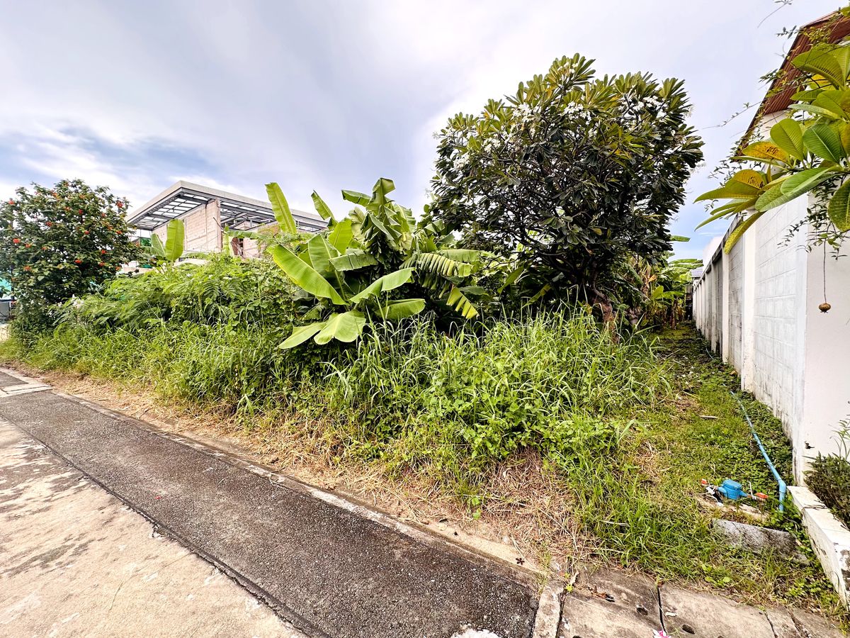 ขายที่ดินอ่อนนุช อุดมสุข : ที่้ดินเปล่าในหมู่บ้าน อ่อนนุช44 