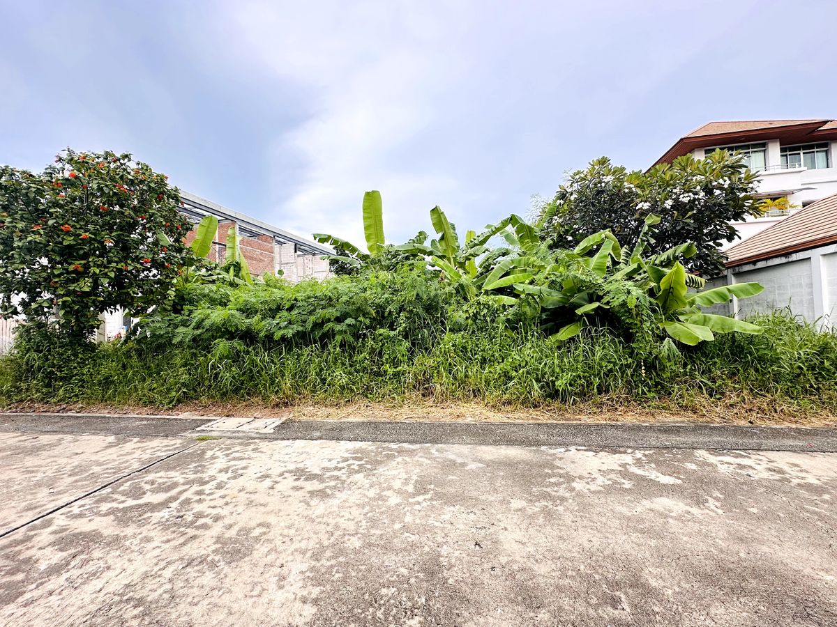 ขายที่ดินอ่อนนุช อุดมสุข : ที่้ดินเปล่าในหมู่บ้าน อ่อนนุช44 