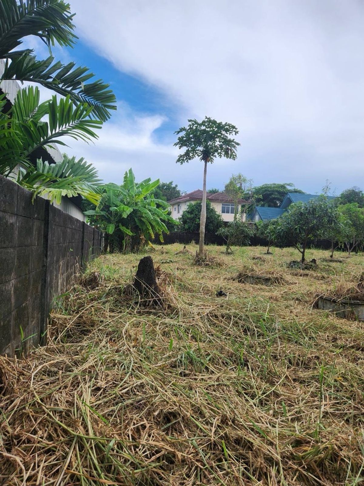 ขายที่ดินอ่อนนุช อุดมสุข : ขายที่ดินเปล่า หมู่บ้านปัญญา พัฒนาการ 30📍 ถ.อ่อนนุช 17 (สุขุมวิท 77)