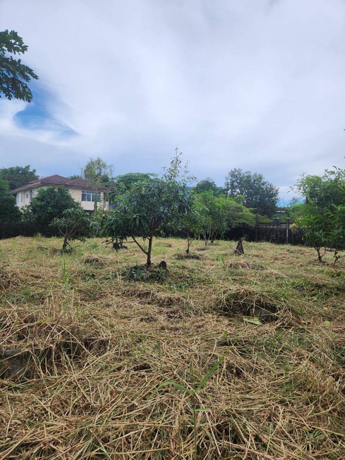 ขายที่ดินอ่อนนุช อุดมสุข : ขายที่ดินเปล่า หมู่บ้านปัญญา พัฒนาการ 30📍 ถ.อ่อนนุช 17 (สุขุมวิท 77)