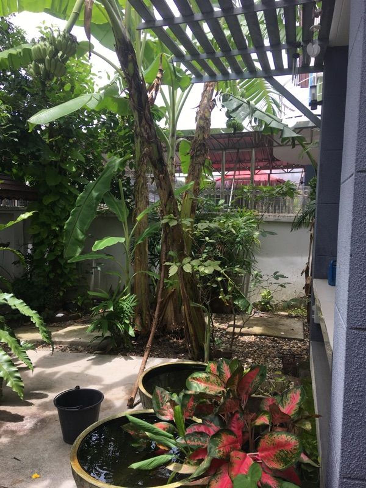 ขายบ้านพุทธมณฑล ศาลายา : 70.5ตรว 4นอน3น้ำ บ้านเดี่ยว 2 ชั้น โนวา เพลส ถนนศาลาธรรมสพน์ เขตทวีวัฒนา