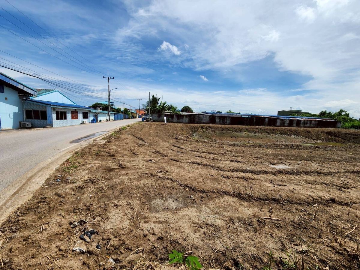 For SaleLandMahachai Samut Sakhon : Beautiful land for sale, Mahachai Samut Sakhon 1-1-65 rai