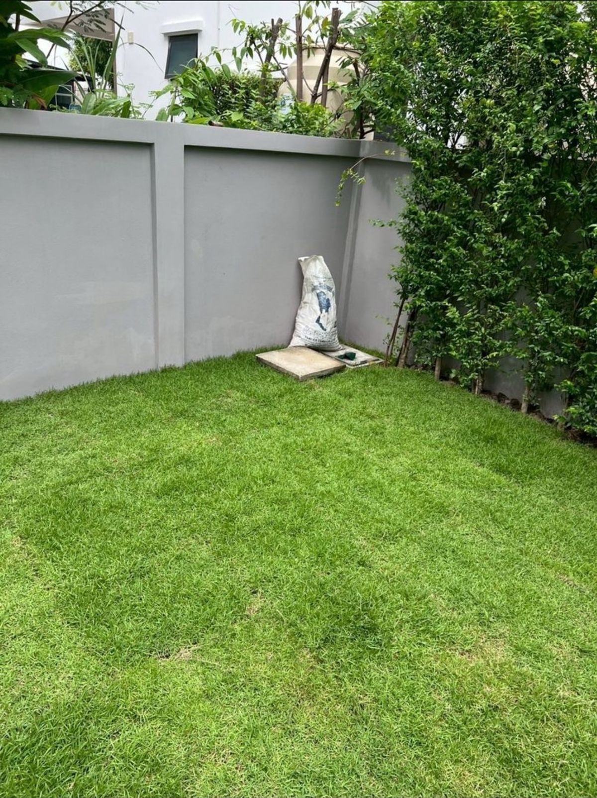 ให้เช่าบ้านลาดกระบัง สุวรรณภูมิ : ปล่อยเช่า บ้านใหม่ เฟอร์ครบ หิ้วกระเป๋าเข้าอยู่ได้ทันที  🌳🐕🐹 เลี้ยงสุนัข–แมวได้  มัณฑนา อ่อนนุช-วงแหวน 3