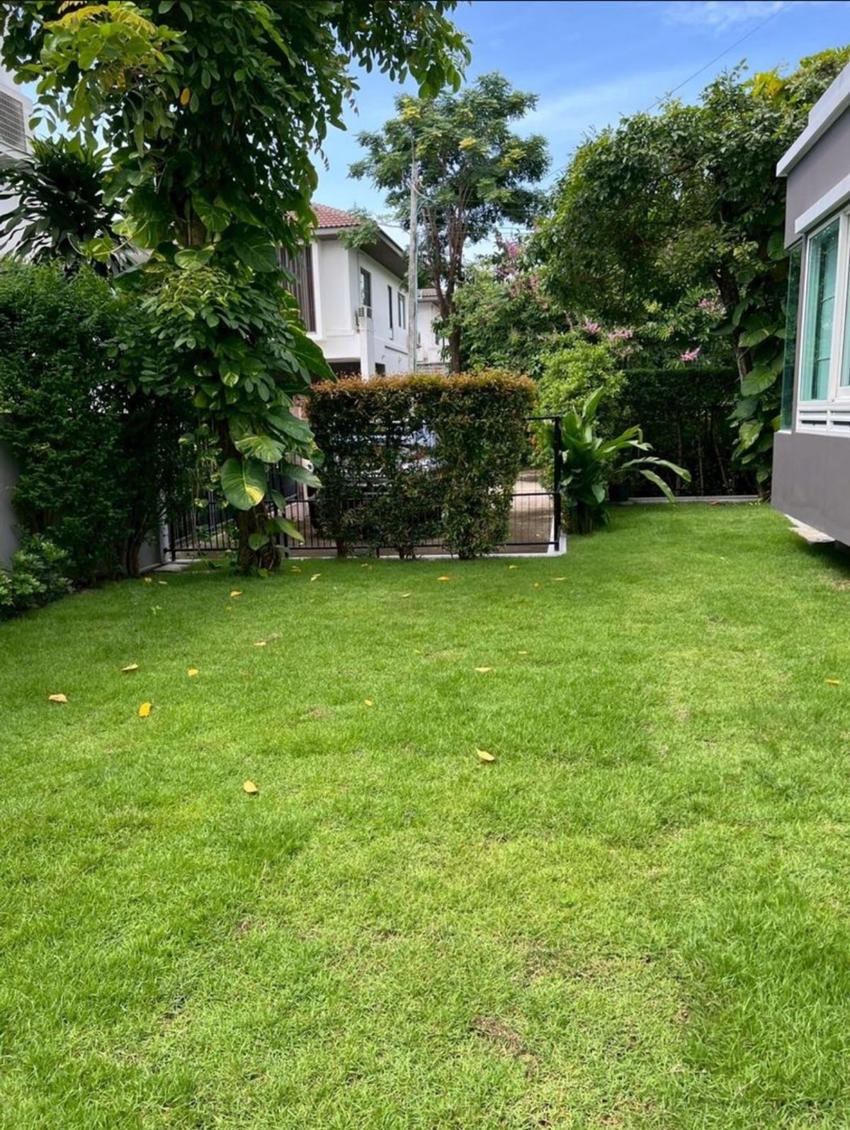 ให้เช่าบ้านลาดกระบัง สุวรรณภูมิ : ปล่อยเช่า บ้านใหม่ เฟอร์ครบ หิ้วกระเป๋าเข้าอยู่ได้ทันที  🌳🐕🐹 เลี้ยงสุนัข–แมวได้  มัณฑนา อ่อนนุช-วงแหวน 3