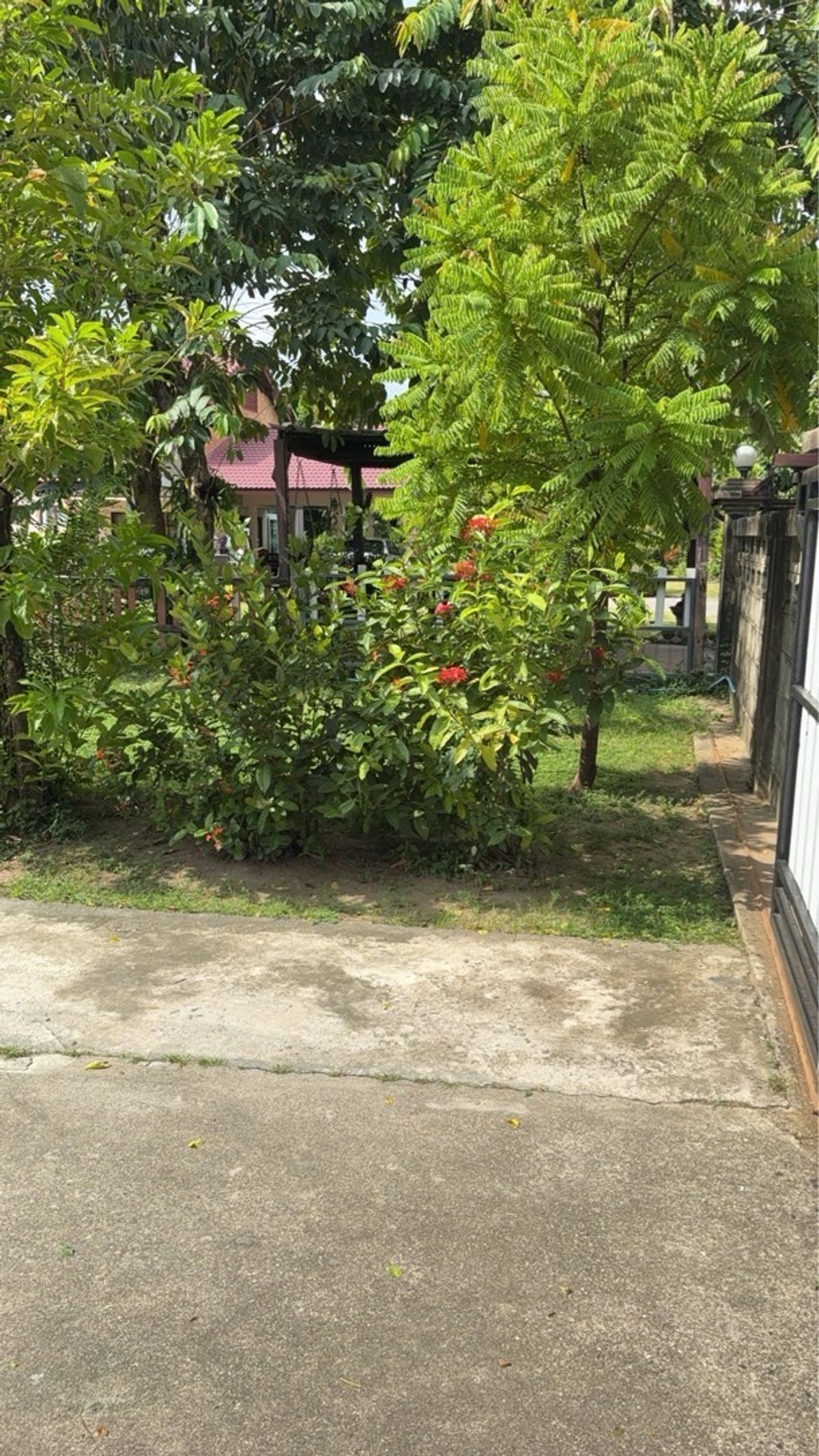 ขายบ้านเอกชัย บางบอน : ขายบ้านพร้อมที่ดิน เอกชัย 16