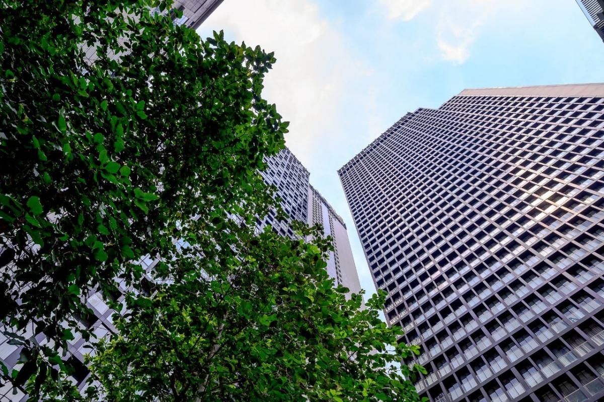 ขายคอนโดวิทยุ ชิดลม หลังสวน : 🔥ขายด่วน🔥โนเบิล เพลินจิต ติด BTS เพลินจิต 1 ห้องนอน 1 ห้องน้ำ 55.95 ตรม. ห้องสวย พร้อมเข้าอยู่